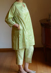 Pista Kurta