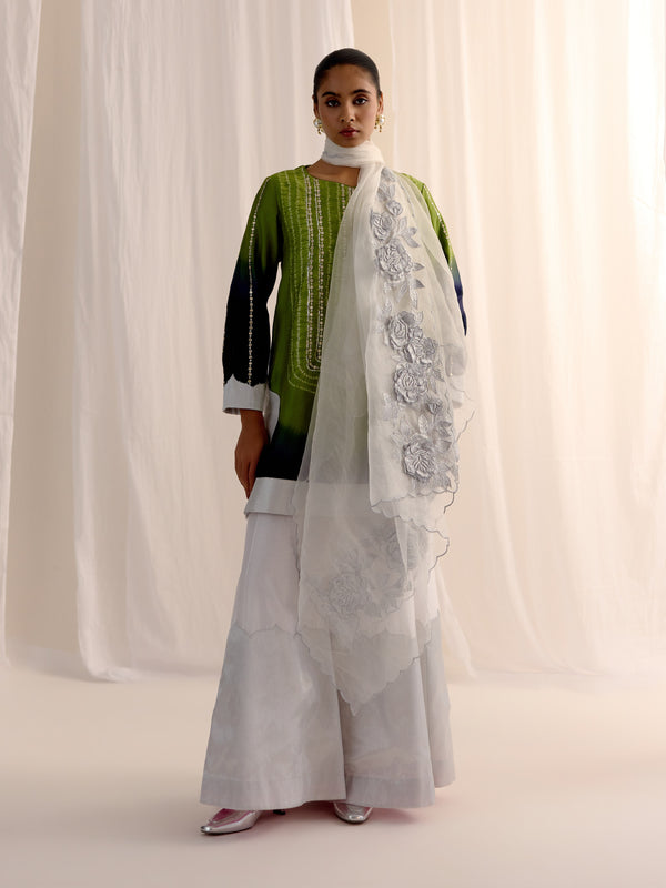 Neel Bagh Kurta with Sharara