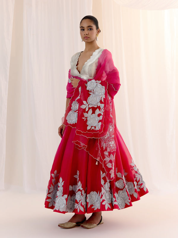 Roshanara Lehenga Set