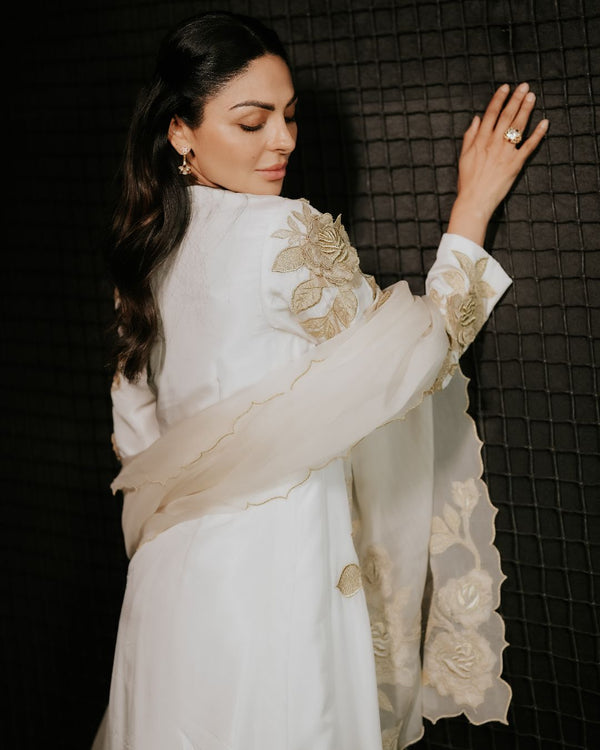 Noor Gulaab Kurta Set