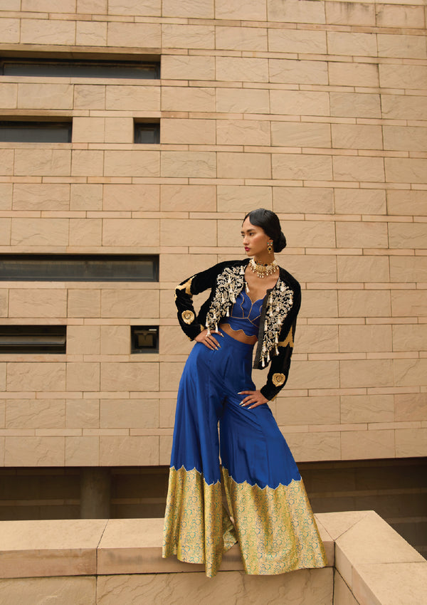 Shahi Mehrab Velvet Jacket