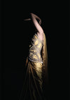 Meherjaan Corset with Saree